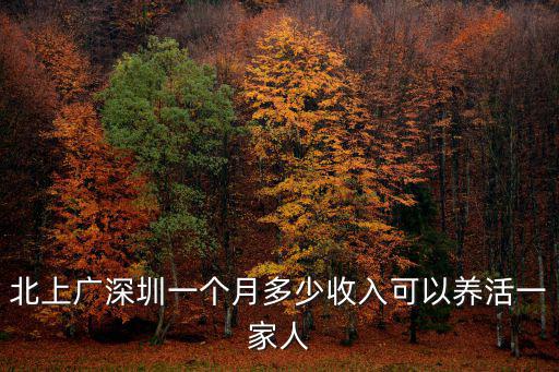 深圳孫先生一個(gè)月收入多少,在深圳一個(gè)月七千塊夠花嗎