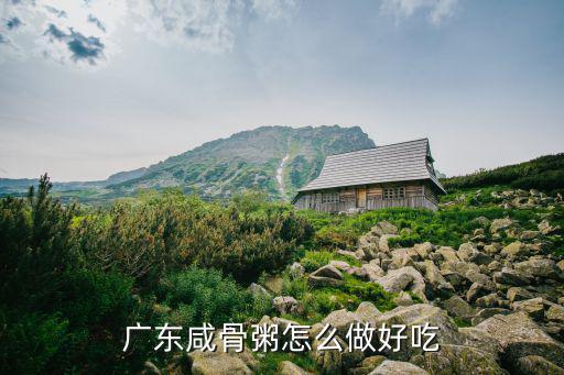 廣東菜煲湯煲粥怎么做,廣東咸骨粥怎么做好吃