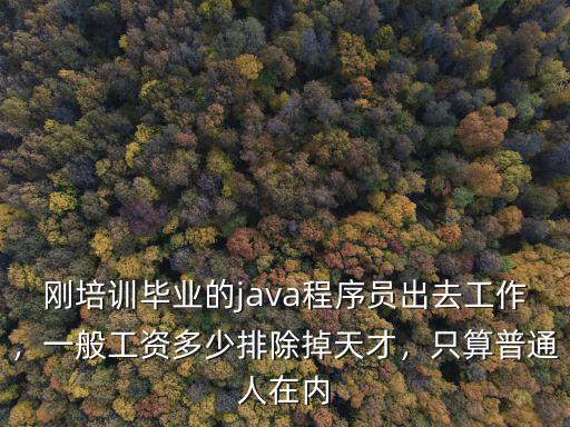 剛培訓畢業的java程序員出去工作，一般工資多少排除掉天才，只算普通人在內