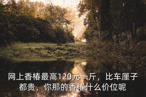 網上香椿最高120元一斤，比車厘子都貴，你那的香椿什么價位呢