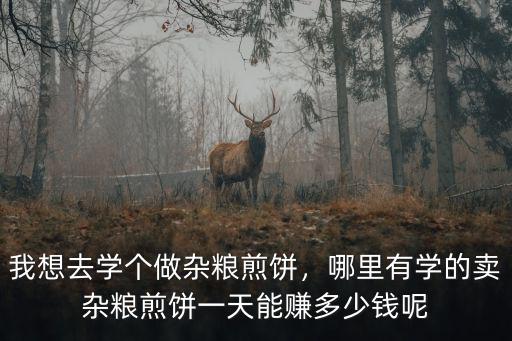 廣東佛山有哪里學做雜糧煎餅,我想去學個做雜糧煎餅