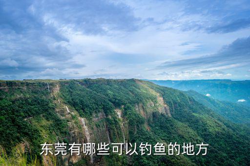 東莞市哪里有釣魚的地方不收費,東莞有哪些可以釣魚的地方