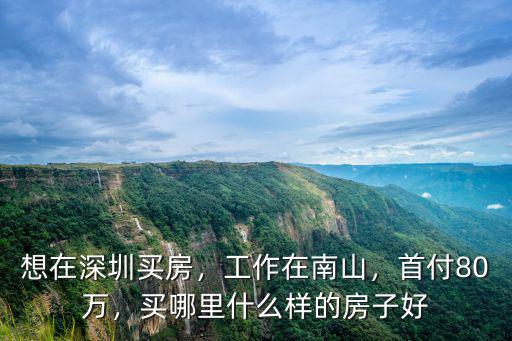 想在深圳買房，工作在南山，首付80萬，買哪里什么樣的房子好