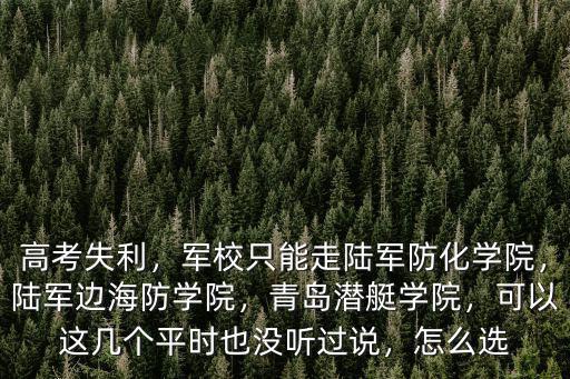 高考失利，軍校只能走陸軍防化學院，陸軍邊海防學院，青島潛艇學院，可以這幾個平時也沒聽過說，怎么選