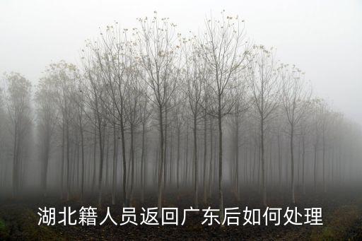湖北籍人員返回廣東后如何處理