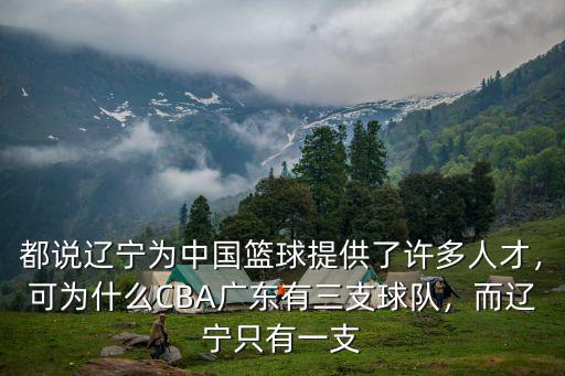 都說遼寧為中國籃球提供了許多人才，可為什么CBA廣東有三支球隊，而遼寧只有一支