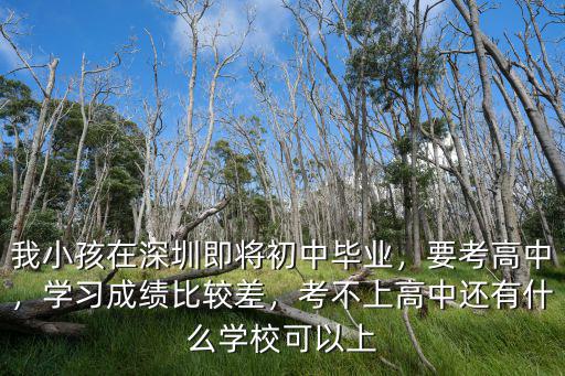 我小孩在深圳即將初中畢業，要考高中，學習成績比較差，考不上高中還有什么學校可以上