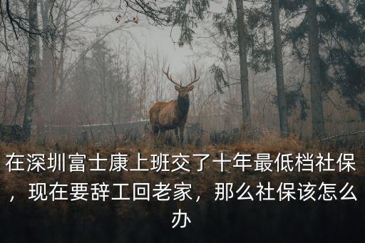 在深圳富士康上班交了十年最低檔社保，現在要辭工回老家，那么社保該怎么辦