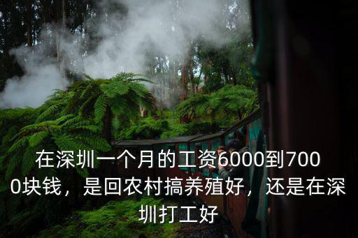 深圳6千工資是多少錢(qián)啊,七八千的工資在深圳怎么樣