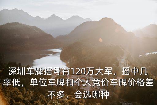 深圳車牌競價怎么看,深圳車牌搖號有120萬大軍