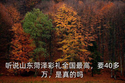 聽說山東菏澤彩禮全國最高，要40多萬，是真的嗎