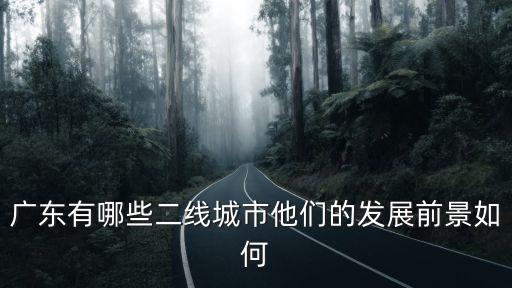 廣東怎么帶動落后的城市,廣東哪個城市最窮
