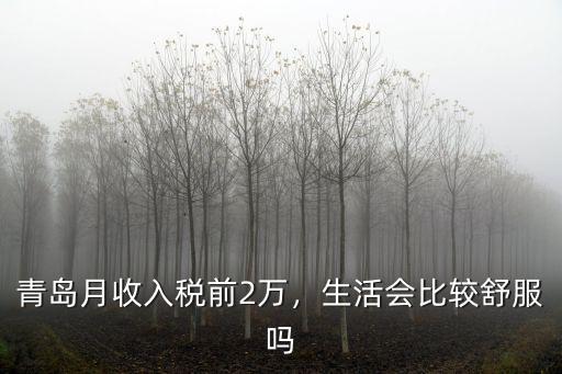 青島月收入稅前2萬，生活會比較舒服嗎