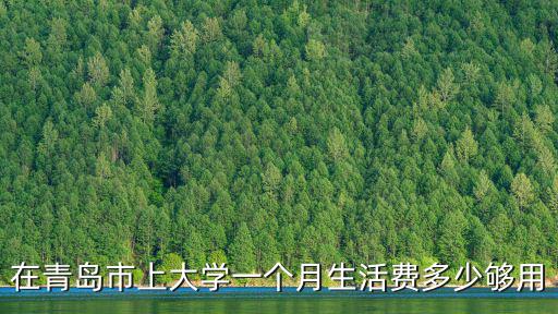 在青島市上大學一個月生活費多少夠用