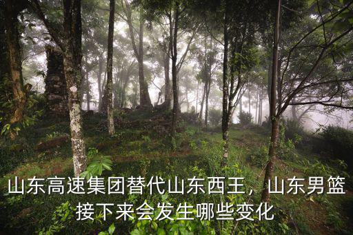 cba山東高速門票多少錢,山東高速集團替代山東西王