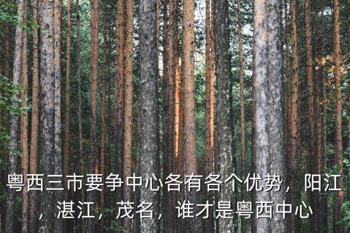 粵西三市要爭中心各有各個優勢，陽江，湛江，茂名，誰才是粵西中心