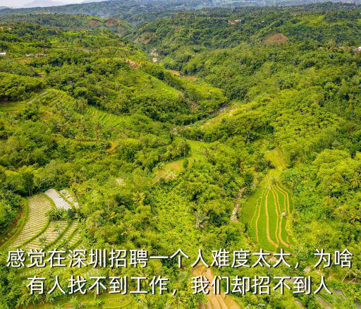 深圳怎么招人,在深圳怎么發招聘信息