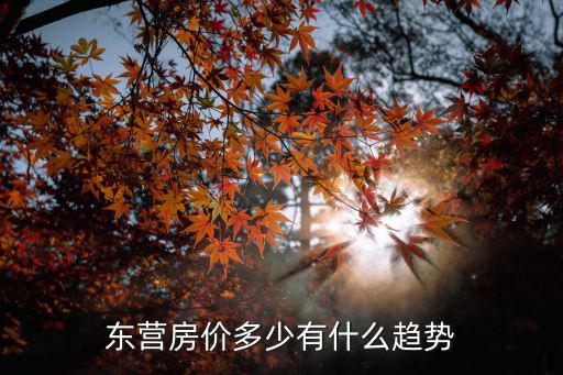 東營新房成交量多少,7月31日東營新房成交量
