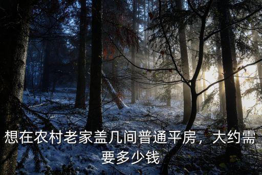 在濰坊農(nóng)村蓋5間房要多少錢,大約需要多少錢