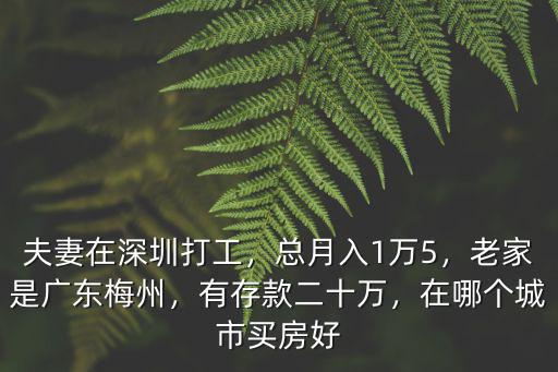 在深圳你有多少存款,在深圳有兩套房
