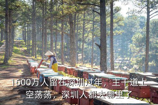 琪琪深圳哪里人,來了就是深圳人