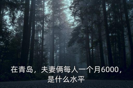 在青島，夫妻倆每人一個月6000，是什么水平