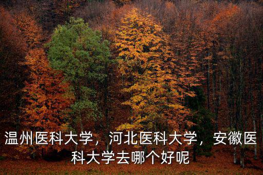 溫州醫(yī)科大學(xué)女生占比為多少,溫州醫(yī)科大學(xué)