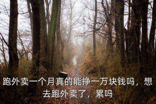 湖州長興跑外賣多少錢一個月,送外賣一個月能賺多少