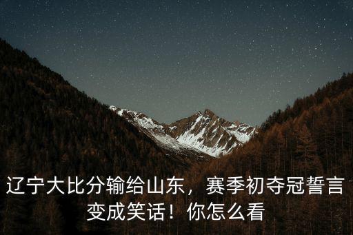 遼寧和山東籃球比分是多少,如果山東和遼寧會是什么比分