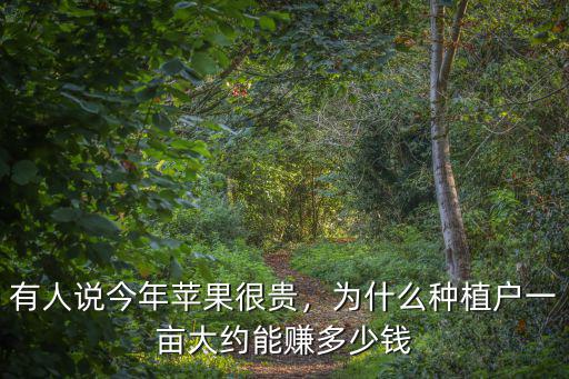 煙臺包裝蘋果能掙多少錢啊,煙臺蘋果果農掙錢嗎