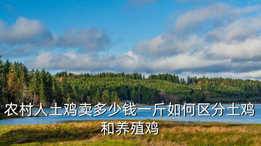 廣東收土雞多少錢(qián),現(xiàn)在土雞價(jià)格多少錢(qián)一斤