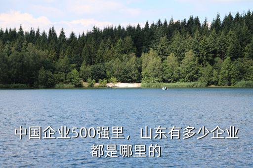 中國企業(yè)500強里，山東有多少企業(yè)都是哪里的