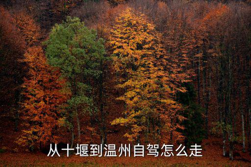 溫州至紹興自駕油費過路費多少,從十堰到溫州自駕怎么走