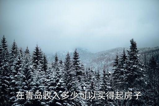 在青島收入多少可以買得起房子