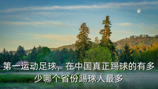 第一運動足球，在中國真正踢球的有多少哪個省份踢球人最多