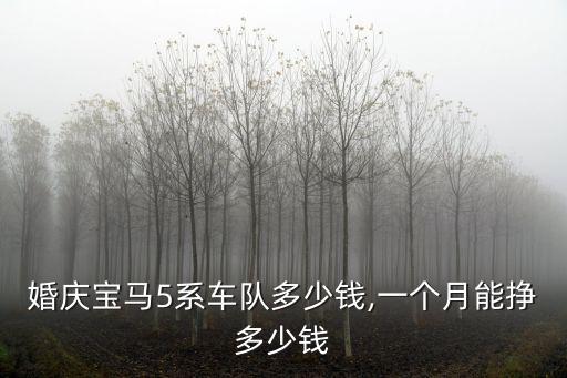 泰安婚慶寶馬5系車隊多少錢,一個月能掙多少錢