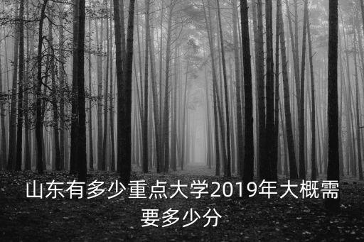 山東有多少重要的大學,山東有哪些不錯的大學