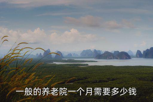 一般的養老院一個月需要多少錢