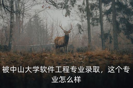 中山大學(xué)巖土工程專業(yè)怎么樣,被中山大學(xué)軟件工程專業(yè)錄取