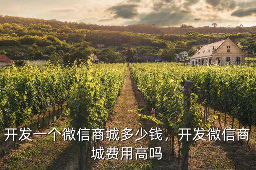 惠州附近做商城開發多少錢,開發一個微信商城多少錢