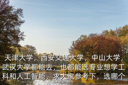 天津大學(xué)，西安交通大學(xué)，中山大學(xué)，武漢大學(xué)都能去，也都能選專業(yè)想學(xué)工科和人工智能，求大家參考下，選哪個