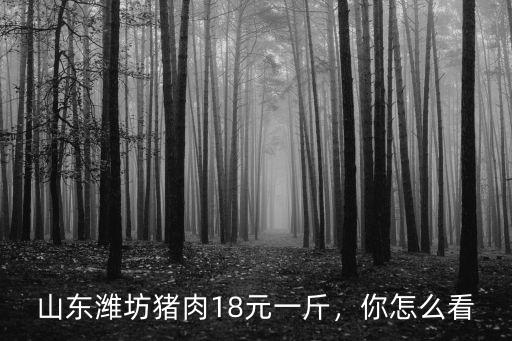 山東濰坊肥育豬多少錢,現在育肥豬成本價是多少錢