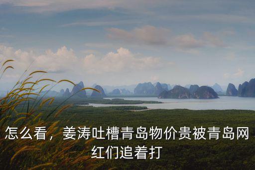 青島有多少帶貨網(wǎng)紅,青島有哪些網(wǎng)紅