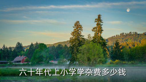 在溫州上小學多少錢一學期,六十年代上小學學雜費多少錢