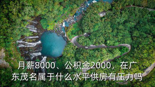 月薪8000、公積金2000，在廣東茂名屬于什么水平供房有壓力嗎