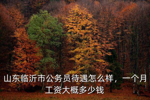 山東臨沂市公務員待遇怎么樣，一個月工資大概多少錢