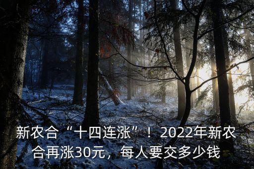 新農合“十四連漲”！2022年新農合再漲30元，每人要交多少錢