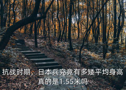 抗日時期在山東有多少日本兵,日本兵究竟有多矮