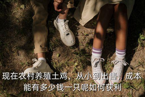 現在農村養殖土雞，從小到出售，成本能有多少錢一只呢如何獲利