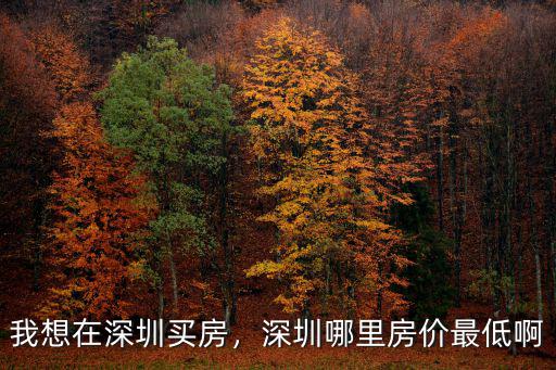 我想在深圳買房，深圳哪里房價最低啊